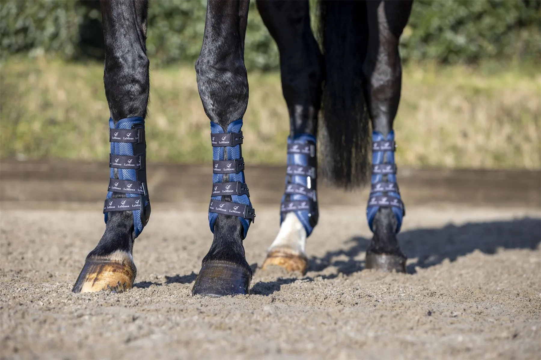 LeMieux Ultra Mesh Snug Boots Hind