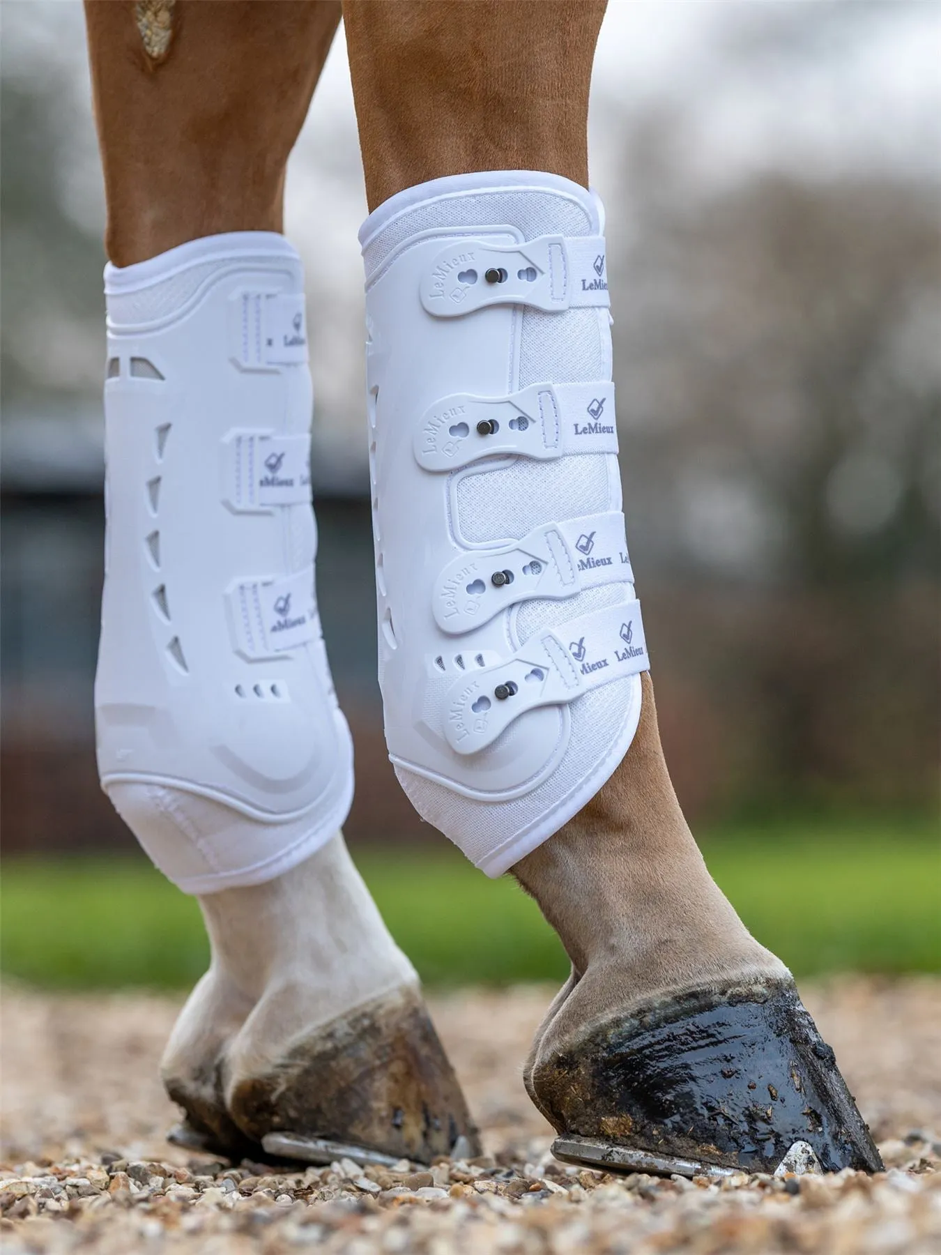 LeMieux Ultra Mesh Snug Boots Hind