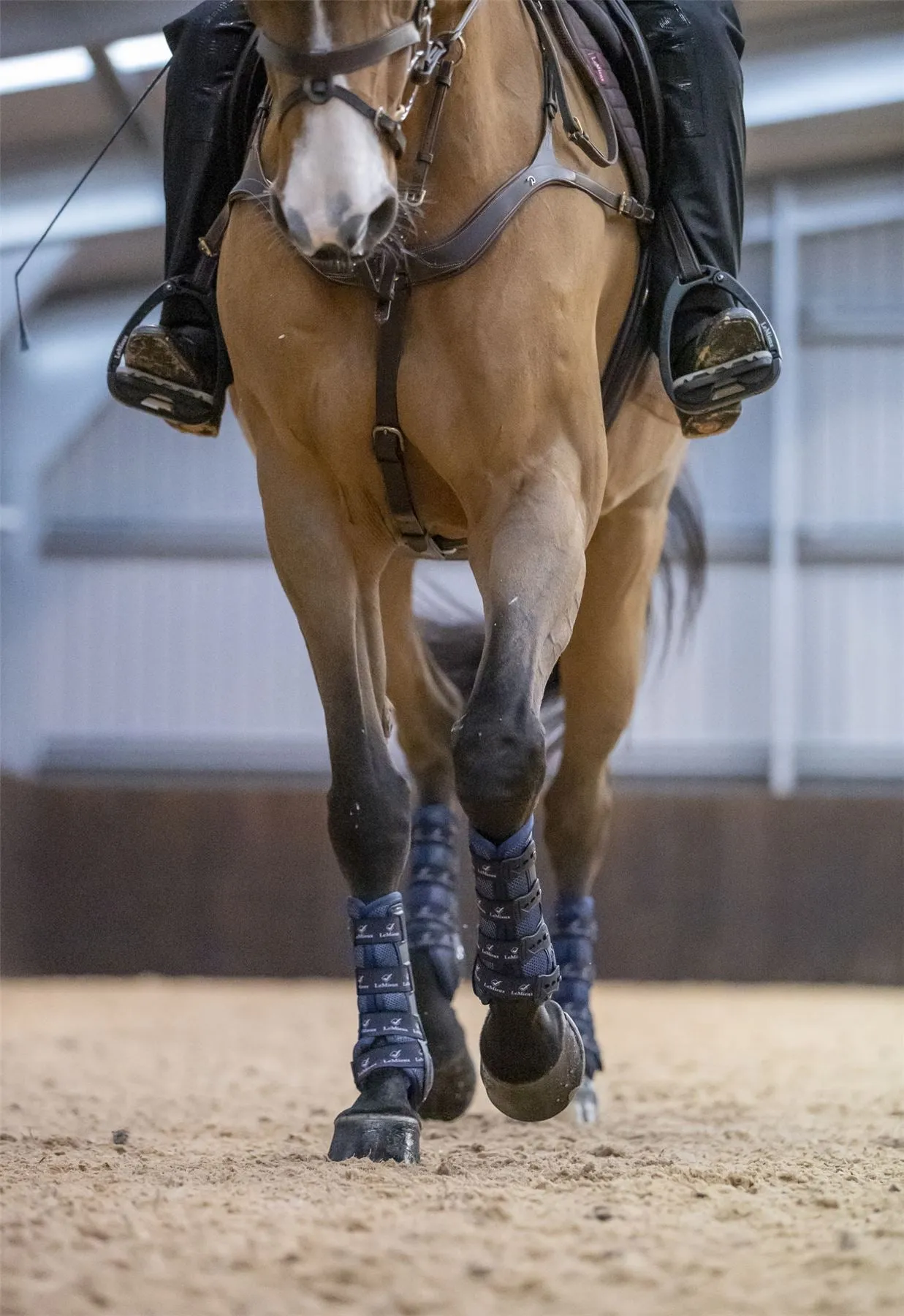 LeMieux Ultra Mesh Snug Boots Hind