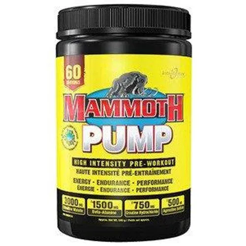 Mammoth Pump Hd 540g